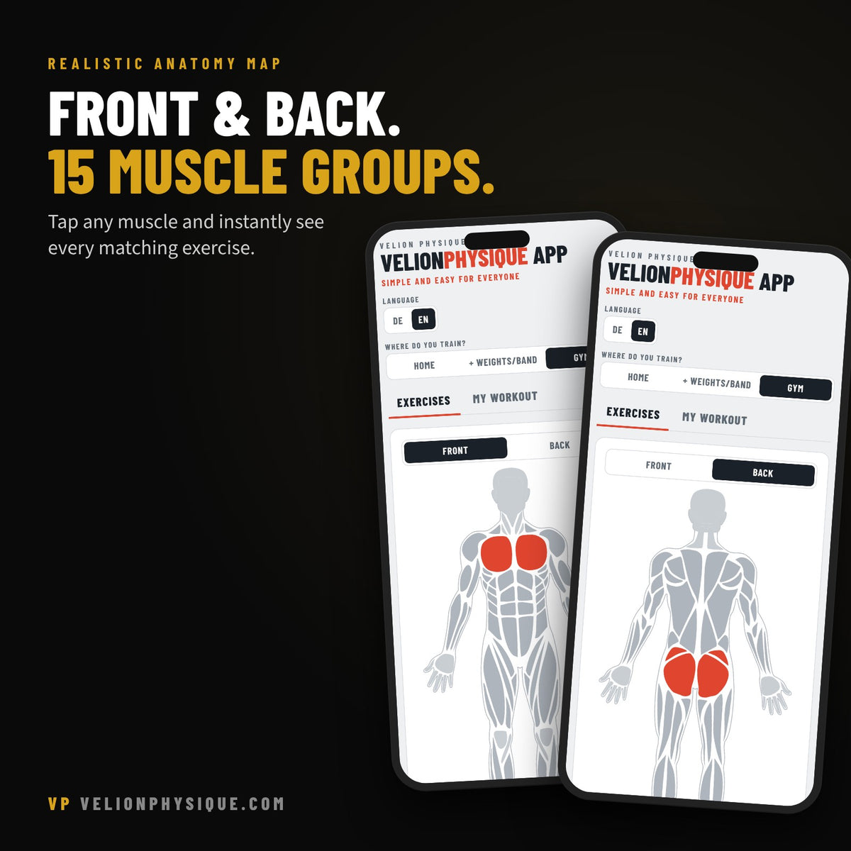 VelionPhysique App – realistic anatomy map, front and back, 15 muscle groups
